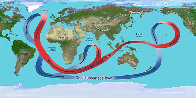 Global Overturning Circulation