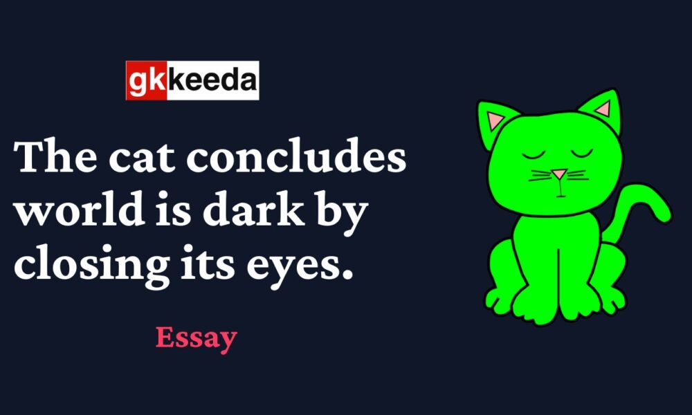 The cat concludes world is dark by just closing its eyes - UPSC CSE IAS Essays